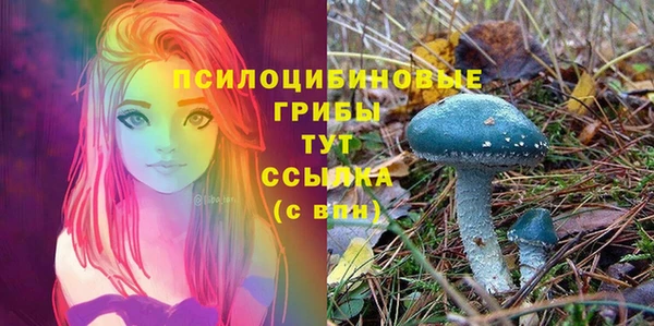 ALPHA-PVP Алексин