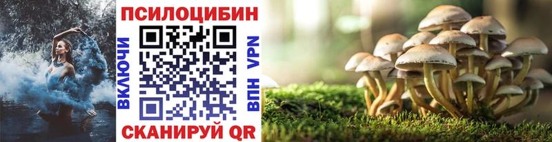 купить  цена  mega сайт  Псилоцибиновые грибы GOLDEN TEACHER  Сурск 