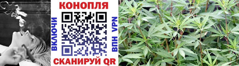 наркотики Сурск Бошки марихуана SATIVA & INDICA